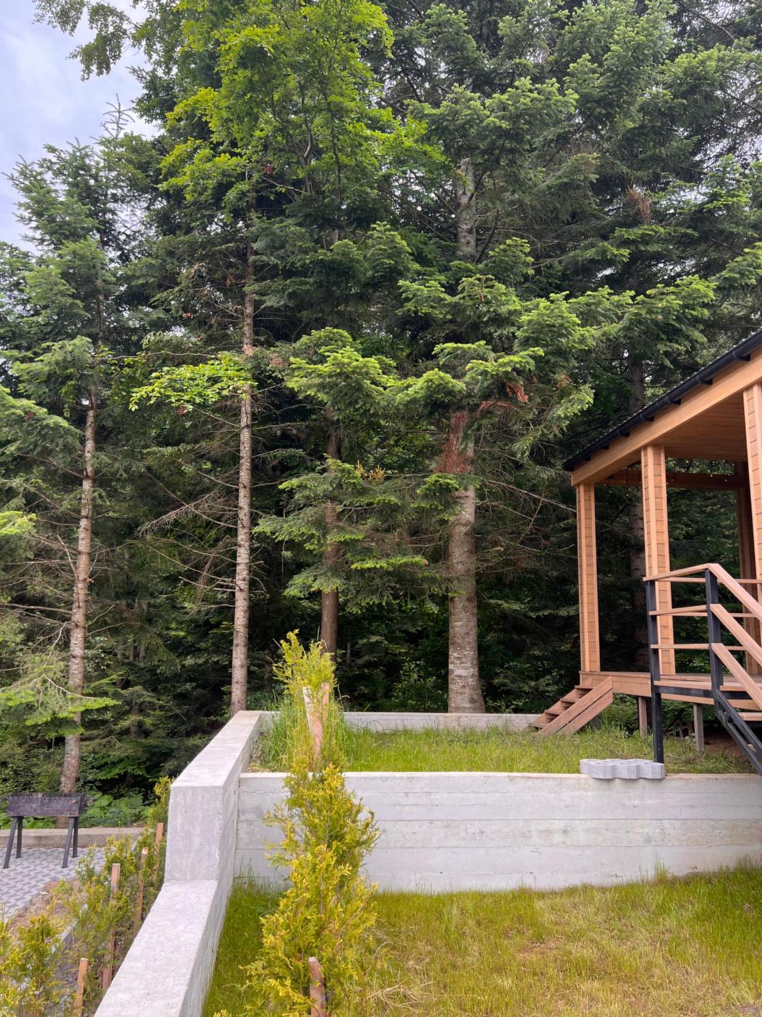 Парк-Готель Щастя Skhidnytsia Exterior foto